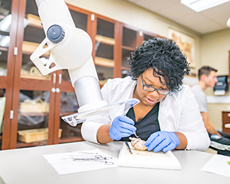 student in a lab doing brain dissection