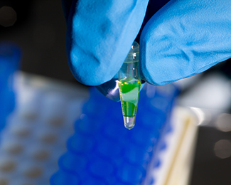 Medical Lab Sciences