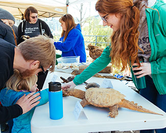 students and a child looking at a turtle
