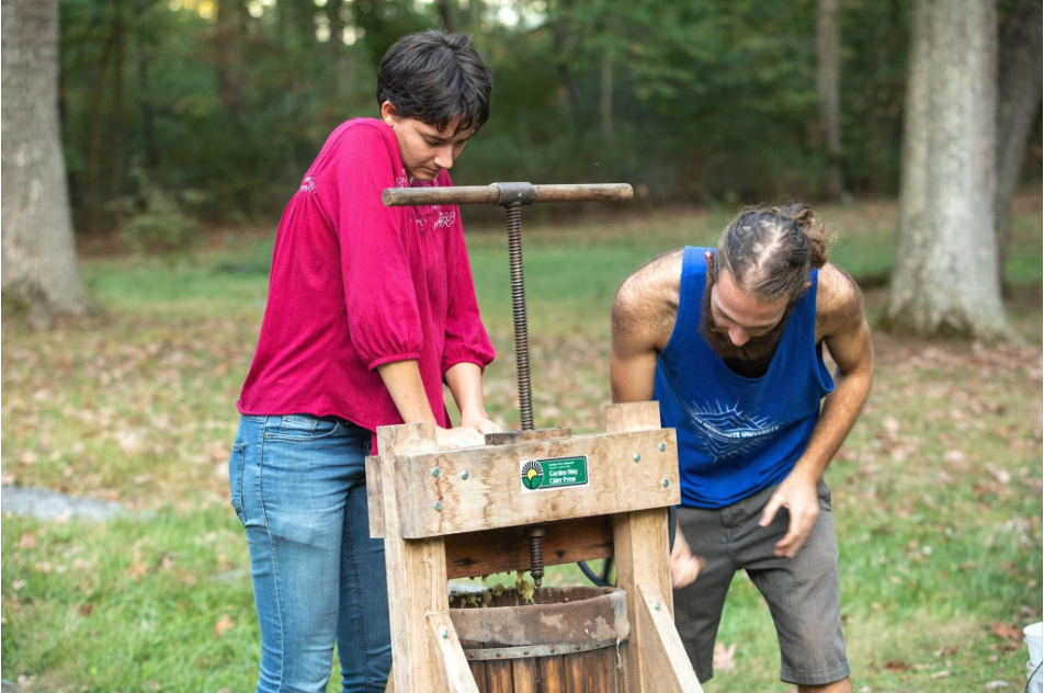 Two students press apples for cider at a cider press Two students press apples for cider at a cider press